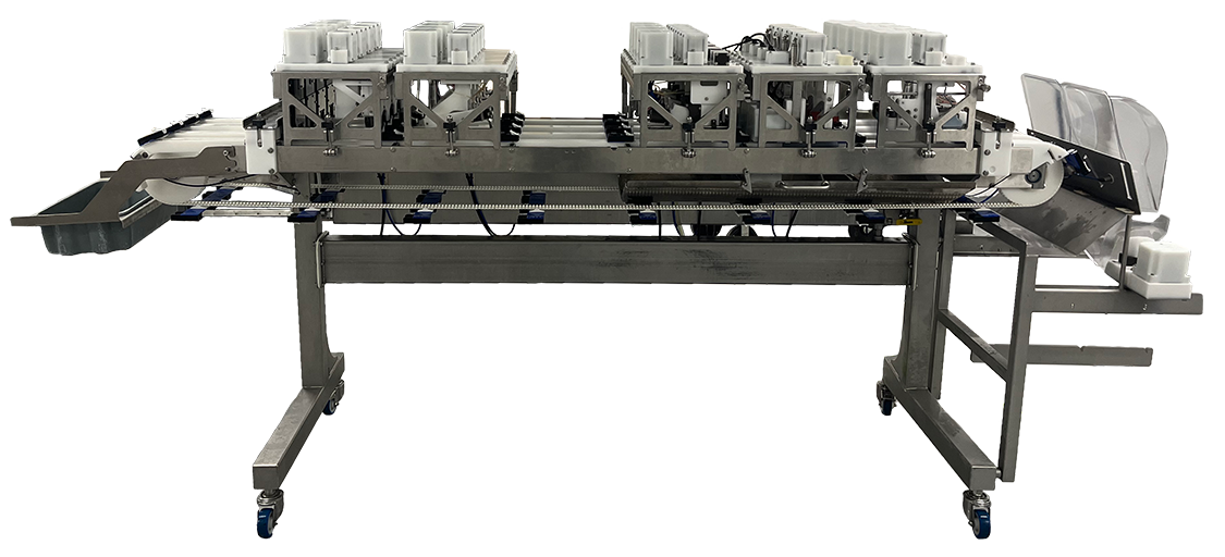 2024 Platform